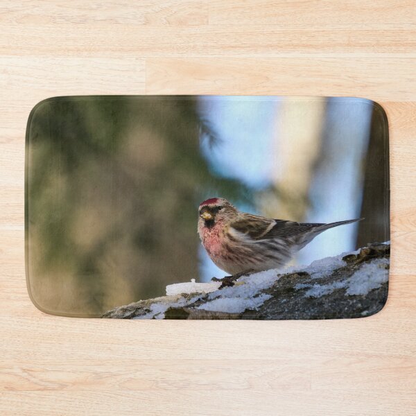 Item preview, The red one. Mealy redpoll designed and sold by Jouko Lehto Photography.