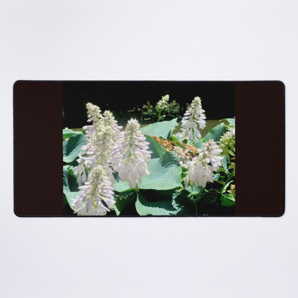 Item preview, Hosta Flowers designed and sold by Shulie1.