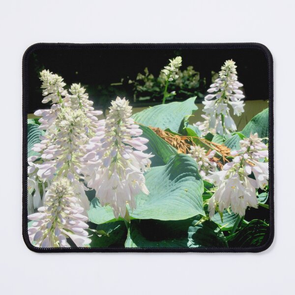 Item preview, Hosta Flowers designed and sold by Shulie1.