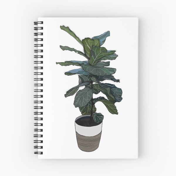 Item preview, Fiddle Leaf Fig  designed and sold by JMVisuals28.