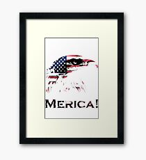 American Eagle Framed Print