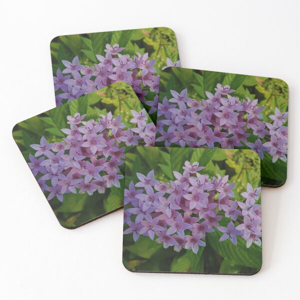 Item preview, Hawaiian Lavendar: Graffiti Lavendar Star Flower designed and sold by CommandoCrane.