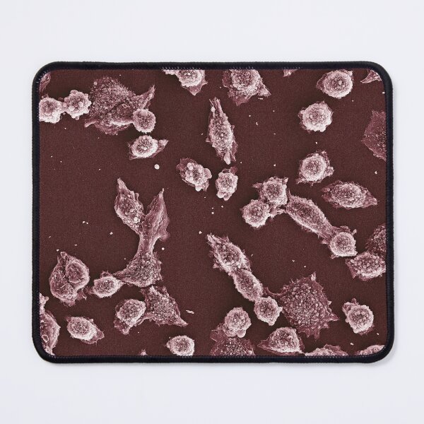 Item preview, CHO cells under the scanning electron microscope designed and sold by Jess Holz.