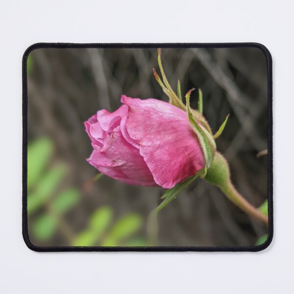 Item preview,  Rosebud designed and sold by aeolia.