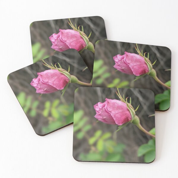 Item preview,  Rosebud designed and sold by aeolia.