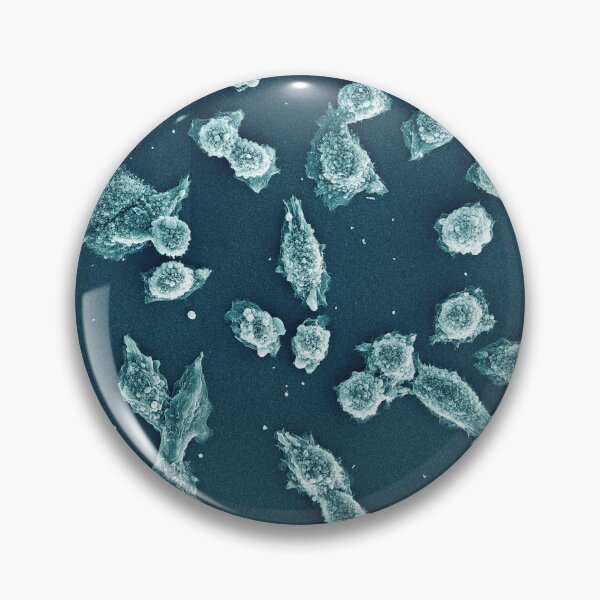 Item preview, Cultured cells under the microscope designed and sold by Jess Holz.