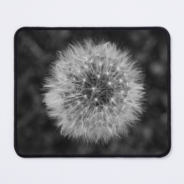 Item preview, A dandelion flower head designed and sold by annasofia.