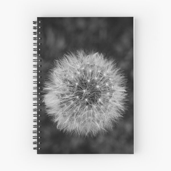 Item preview, A dandelion flower head designed and sold by annasofia.