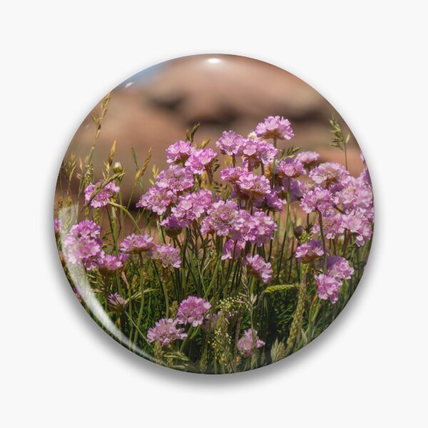 Item preview, Sea Thrift, Hilbre Island designed and sold by EDHPhotography.