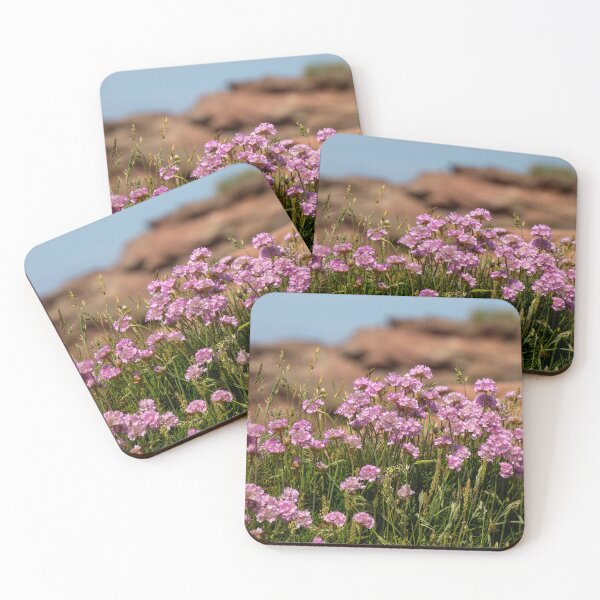 Item preview, Sea Thrift, Hilbre Island designed and sold by EDHPhotography.