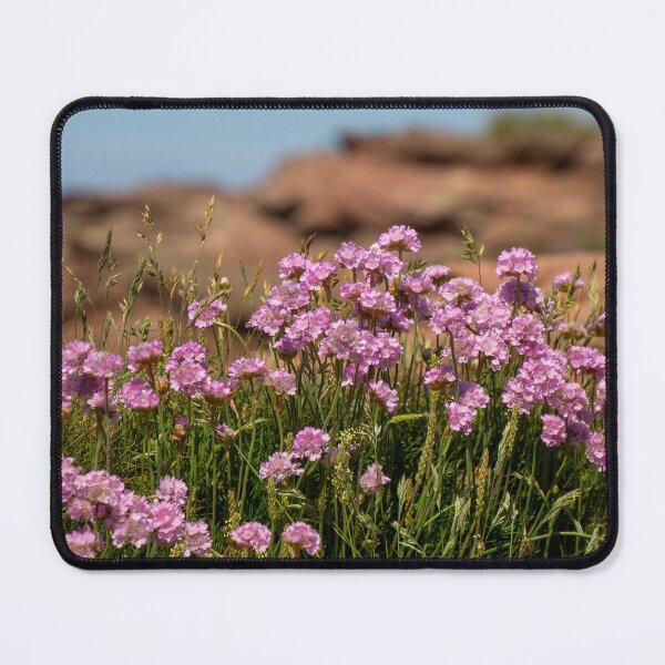 Item preview, Sea Thrift, Hilbre Island designed and sold by EDHPhotography.
