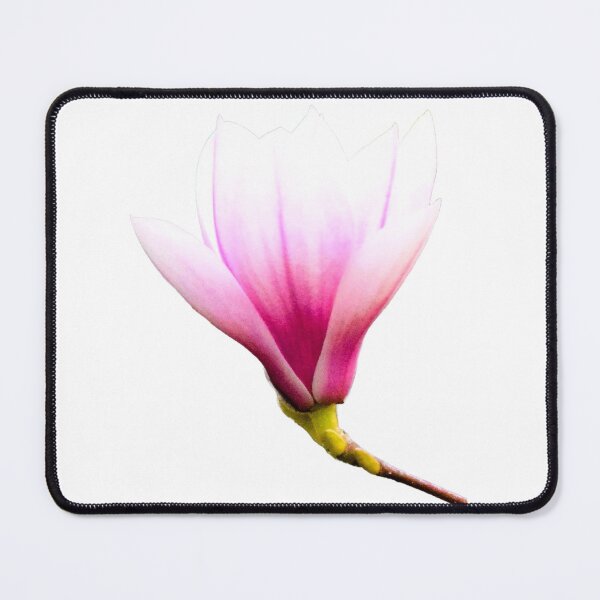 Item preview, Tulip Magnolia Bloom designed and sold by Louise-Mae.