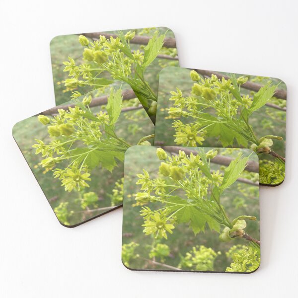 Item preview, Spring Maple  designed and sold by Amanda1775.