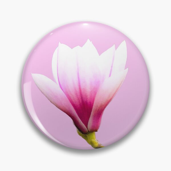 Item preview, Tulip Magnolia Bloom - pink background designed and sold by Louise-Mae.