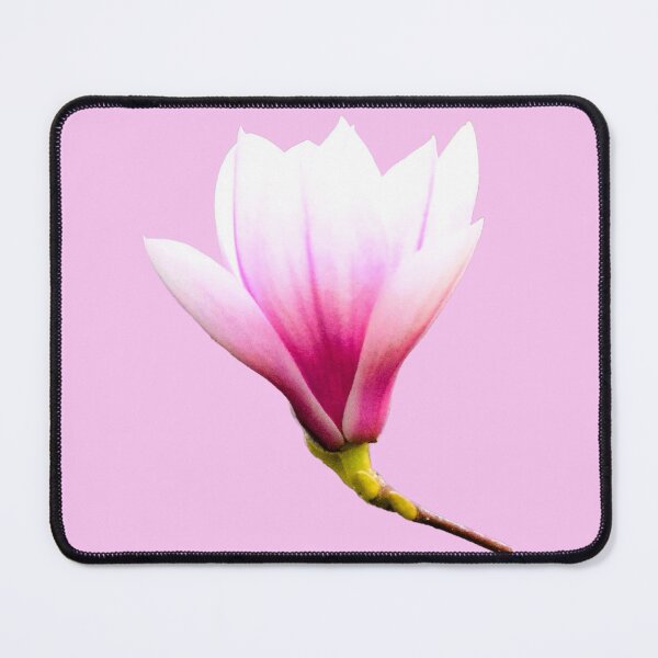 Item preview, Tulip Magnolia Bloom - pink background designed and sold by Louise-Mae.