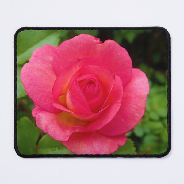 Item preview, Single Pink Rose designed and sold by CommandoCrane.