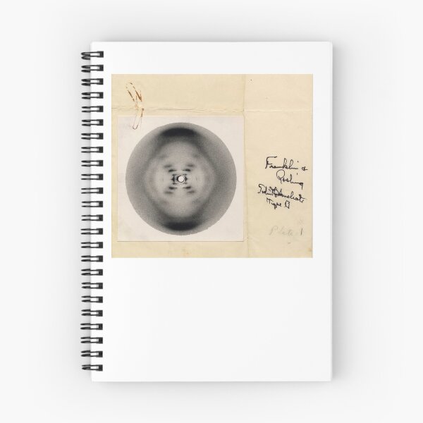 Item preview, Rosalind Franklin's B-Form x-ray of DNA, 1952, Diffraction Photo designed and sold by ScienceSource.
