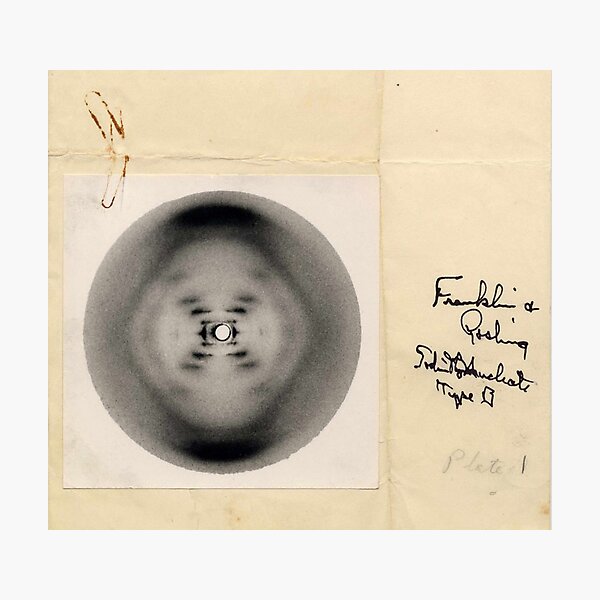 Aperçu de l'œuvre Radiographie de forme B de l'ADN de Rosalind Franklin, 1952, photographie par diffraction créée et vendue par ScienceSource.