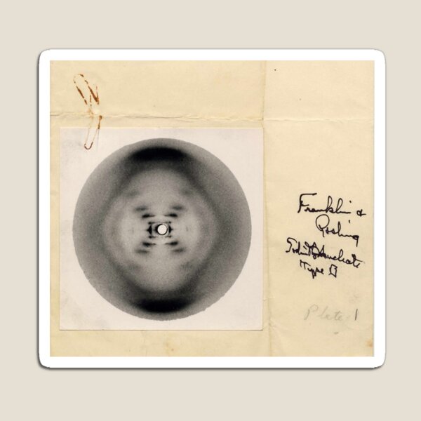 Item preview, Rosalind Franklin's B-Form x-ray of DNA, 1952, Diffraction Photo designed and sold by ScienceSource.