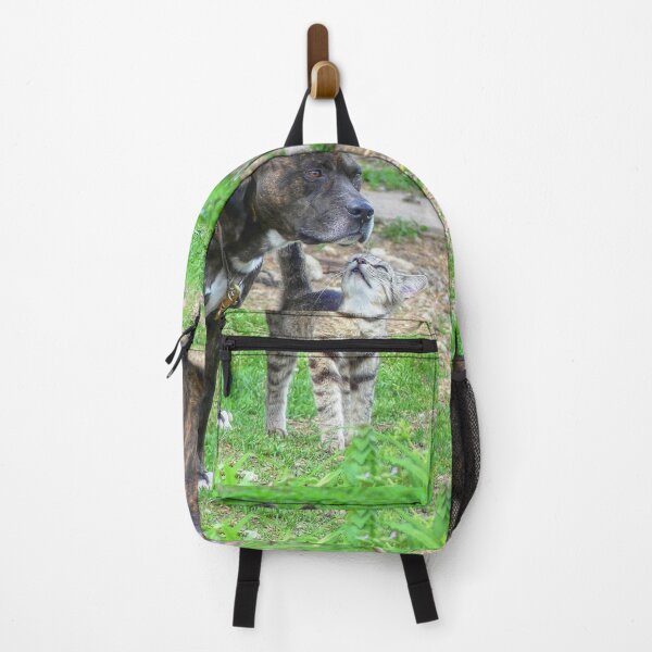 Item preview, Pit Bull and Cat designed and sold by Frankie Cat Photography.