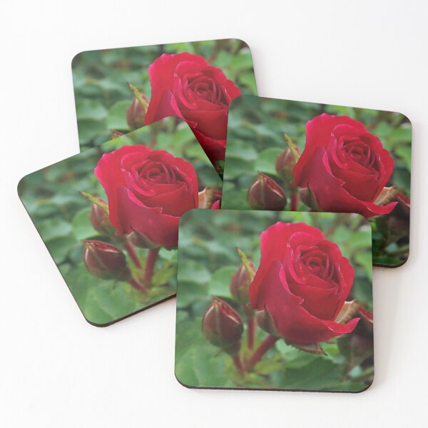 Item preview, Red Rose Print: Portrait Orientation designed and sold by CommandoCrane.