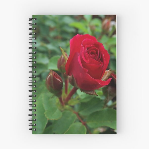 Item preview, Red Rose Print: Portrait Orientation designed and sold by CommandoCrane.