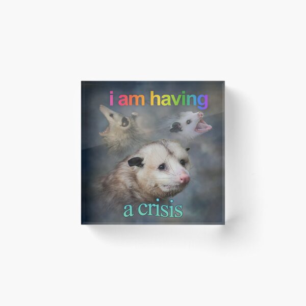 I am having a crisis possum word art Acrylic Block