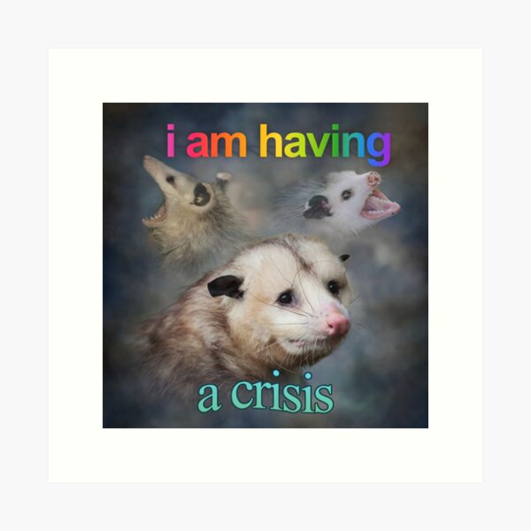 Item preview, I am having a crisis possum word art designed and sold by snazzyseagull.