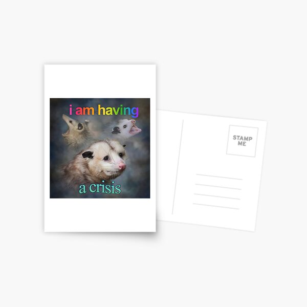 Item preview, I am having a crisis possum word art designed and sold by snazzyseagull.