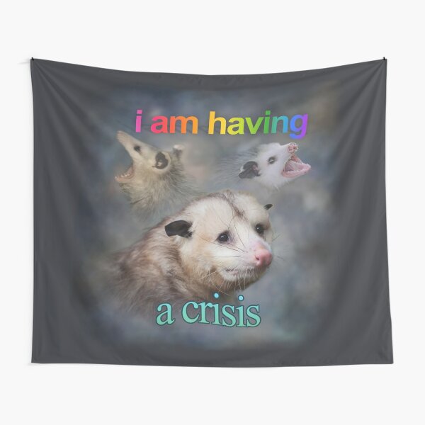 Item preview, I am having a crisis possum word art designed and sold by snazzyseagull.