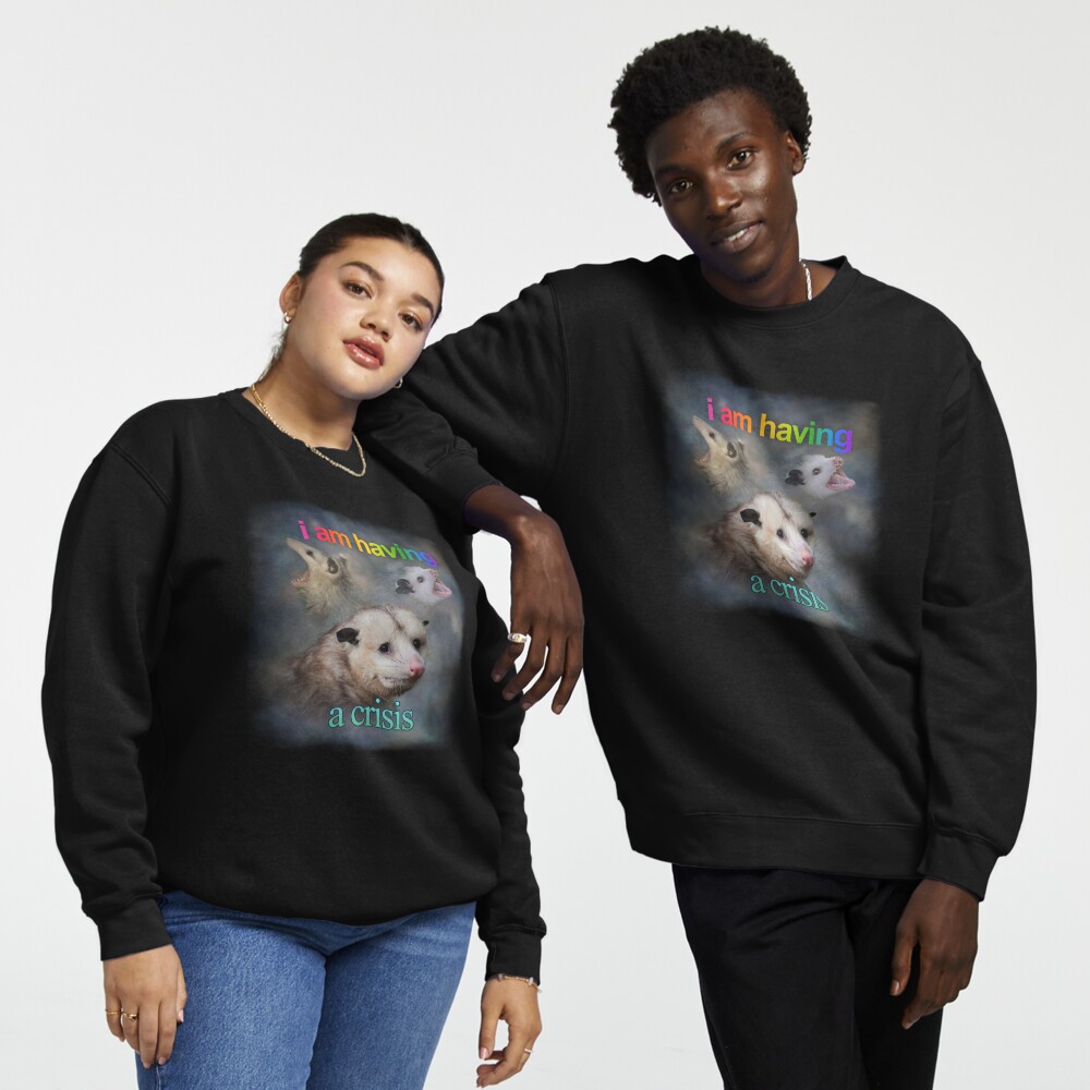 Item preview, Pullover Sweatshirt designed and sold by snazzyseagull.