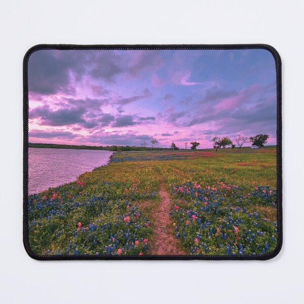 Item preview, The Bluebonnets path designed and sold by SunsetMagic.