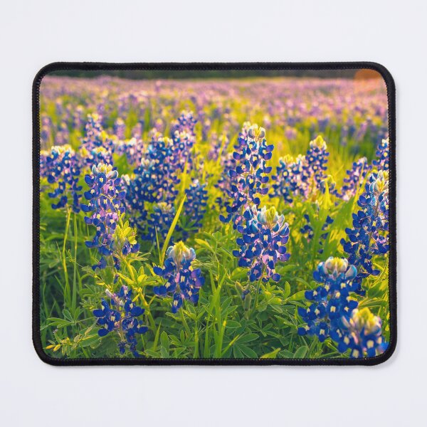 Item preview, Bluebonnets  designed and sold by SunsetMagic.