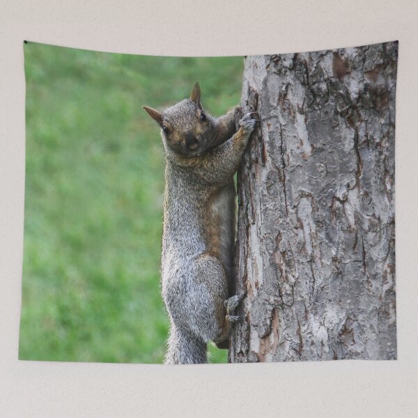 Item preview, I Just Won the Longest Tail Competition! designed and sold by heatherfriedman.