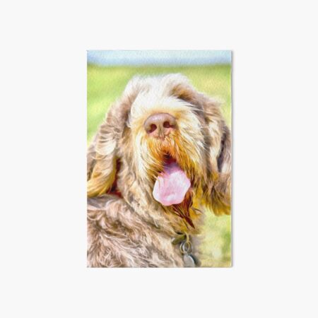 Sunny summer day Spinone Art Board Print