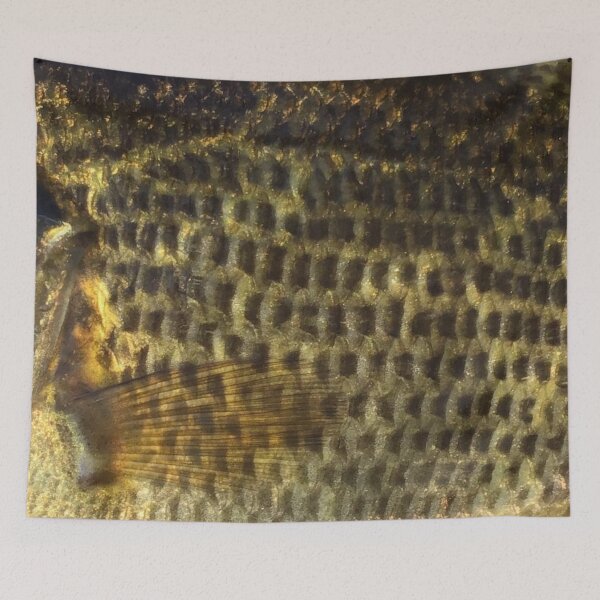 Item preview, Rock Bass (Natural) Fish Skin Pattern  designed and sold by CJRPics.
