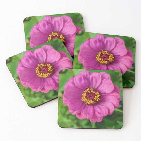 Item preview, Pink and Proud: Pink Zinnia designed and sold by CommandoCrane.