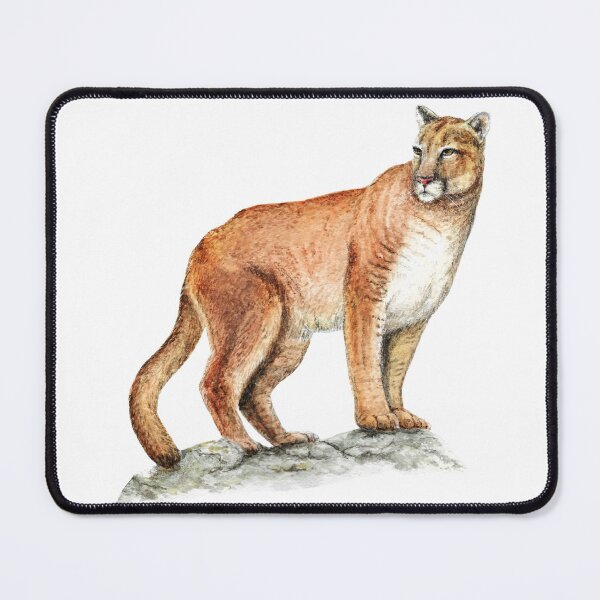 Item preview, Cougar (Puma concolor) designed and sold by SandraHaro.
