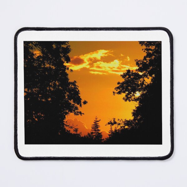 Item preview, Parkhurst Forest Sunset IOW designed and sold by Bethany Edgington.