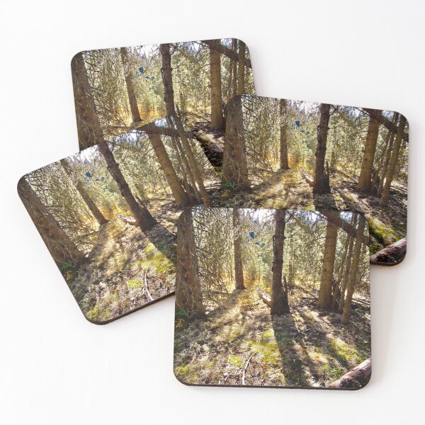 Item preview, Late Afternoon at Brown-Lowery Park designed and sold by Image-Prints.
