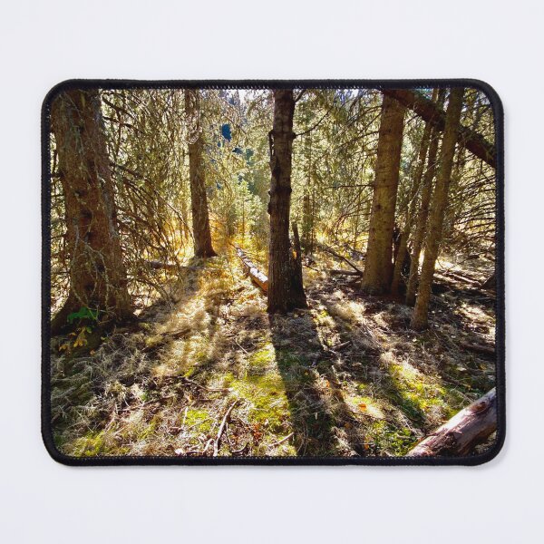 Item preview, Late Afternoon at Brown-Lowery Park designed and sold by Image-Prints.