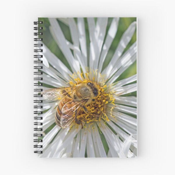 Item preview, Pollination Fascination designed and sold by alanathrower.
