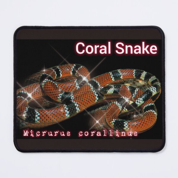 Item preview, Coral Snake designed and sold by StrangeFetish.