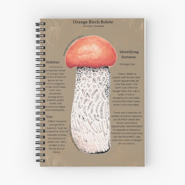 Item preview, Orange Birch Bolete - Leccinum Versipelle  designed and sold by ArcaneHearth.