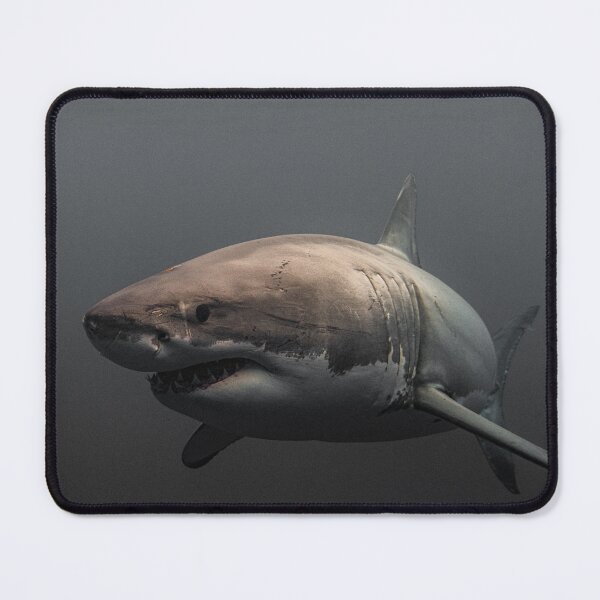 Item preview, Underwater Great White Shark Photography - Shark Week 2 designed and sold by JLFXCreations.