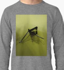 Iron Insect Lightweight Sweatshirt