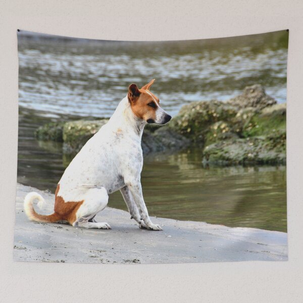 Item preview, India - Goa Palolem designed and sold by franck380.