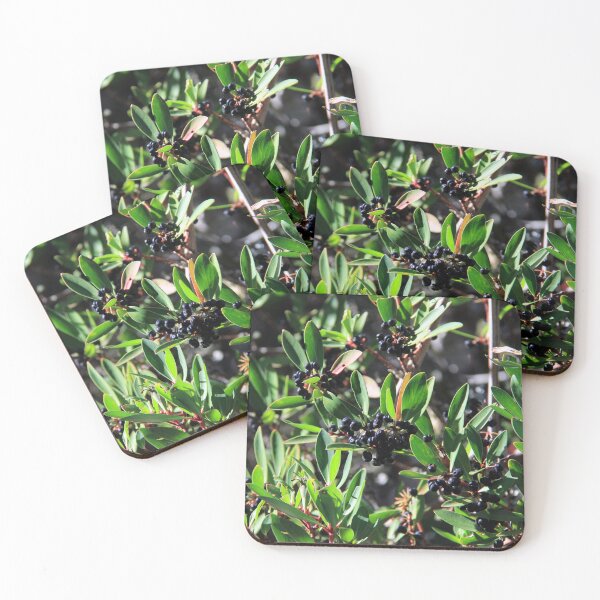 Item preview, Tasmanian pepper berries designed and sold by Kirsten Covington.