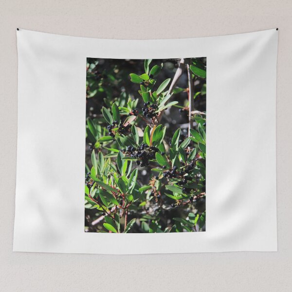 Item preview, Tasmanian pepper berries designed and sold by Kirsten Covington.