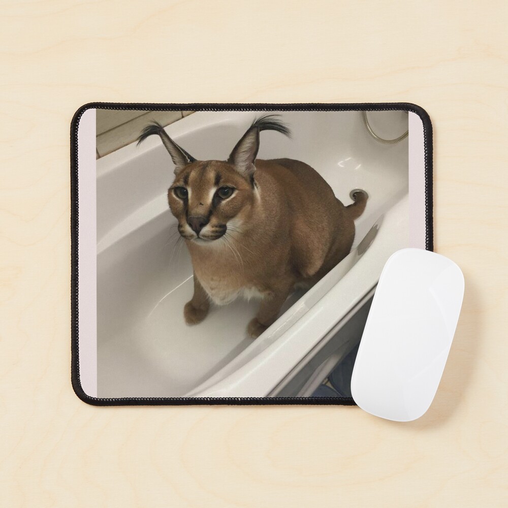 Funny Caracal Cat Floppa Meme Mouse Pad Square Non-Slip Rubber